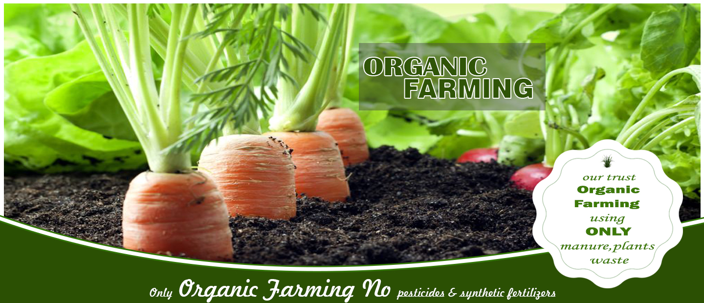 Organic Farming